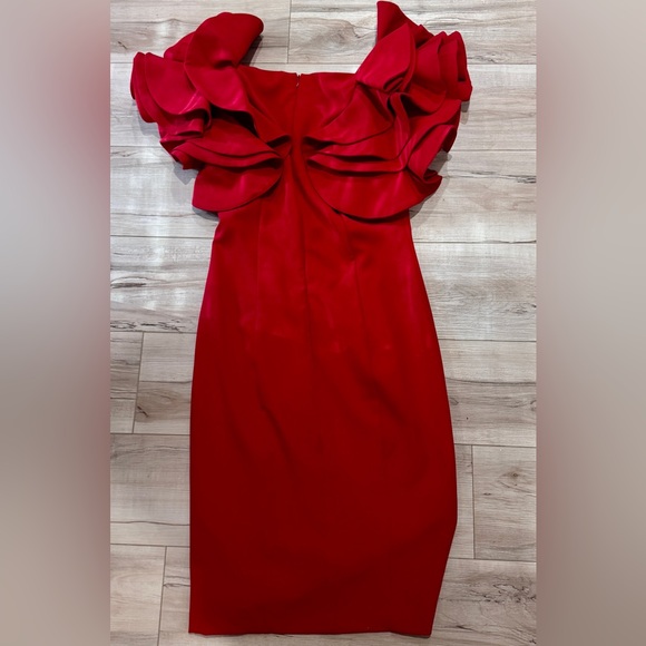 POSH COUTURE RUFFLE SLEEVE DRESS - Picture 2 of 5